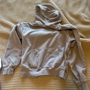 Aritzia Terry Sweatfleece Perfect Hoodie